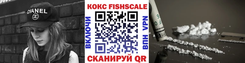 Кокаин FishScale  Купить где  Райчихинск 