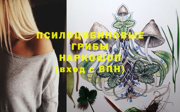 гашиш Гусь-Хрустальный