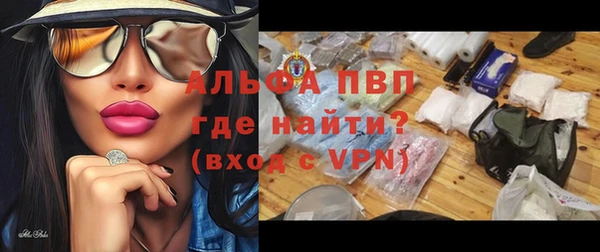 стаф Гусиноозёрск